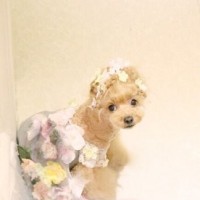 电子琴演奏的经典老歌,勾起儿时的回忆,小伙太