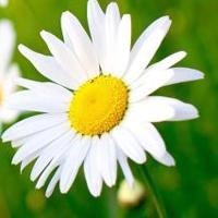 废柴兄弟:这兰菲不愧是做娱记的,这嘴巴太厉害