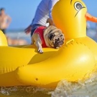 卫衣带子太长怎么办?教你1招,秒变时尚达人!