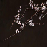 潘粤明马丽联手上演爆笑夫妇,逆流而上的你首