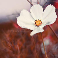 简单易学的舞蹈,大家一起来跳呀