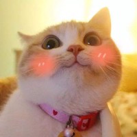 韩国人:中国的平均工资和缅甸差不多!看看缅甸