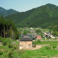 农村妇女在家创业的项目,小本投资大回报