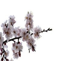 TOP 10 西甲9月联赛进球锦集