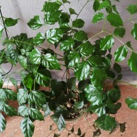 毛衣领子太高,袖子太长,这样无痕改短,方法简单