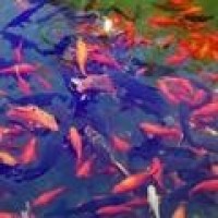 我的世界集锦 巴迪老师今天不上数学课了 带怪