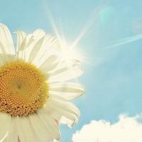 农村儿媳活动现场尝尝农村四哥家腊肉真香,又