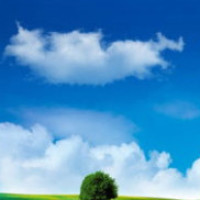 钟丽缇被小12岁老公张伦硕搂在怀中小鸟依人