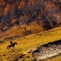 男子叫来服务员后未开门,监控突然记录恶心过