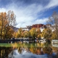 陈立农王子异现身机场,牵手撒狗粮,王子异扶蔡徐坤