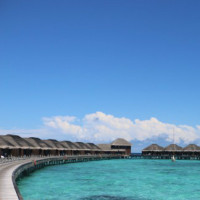 宝宝便秘不爱吃青菜别强迫喂食,这个红薯小馒