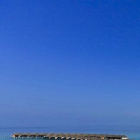 李易峰用《动物世界》证明了自己不是流量小鲜