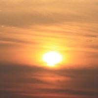 面点大厨教你擀饺子皮最正确的做法,简单美味