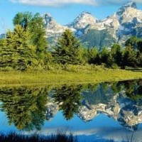 徐根宝认为中国足球最大问题就是人才,而假的