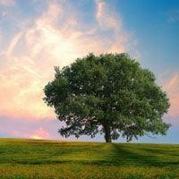 NBA2K18手游版篮下拉杆按键攻略!