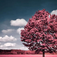 笑林小子之新乌龙院:经典电影,释小龙和郝劭文