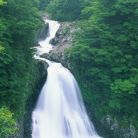 汪汪队立大功:莱德告诉狗狗们,根本没有雪怪,不