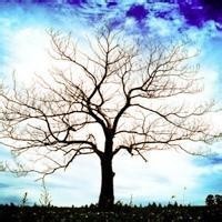 篮球教学:篮球中锋技术教学,半转身虚晃投篮接