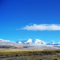 火爆战争片《代号55》,巡逻队被敌军困住,援军