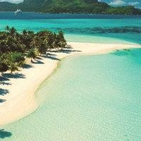 白百何携手东北味F4演绎翻版《流星花园》,