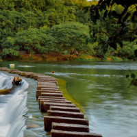 《玩具益趣园》小猪佩奇好像很喜欢这个小狗狗