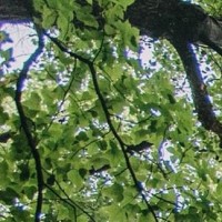 程序员带你一分钟学会用手机写代码