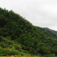 女嘉宾用东北话朗诵《再别康桥》,这不再是深