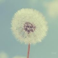 偶遇张继科景甜澳门约会,分手谣言不攻而破了