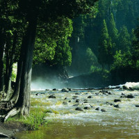 女生是不是生气的时候喜欢说我不听我不听, 但