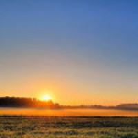 大程子爆笑小品《疯狂炒作团》,观众爆笑连连