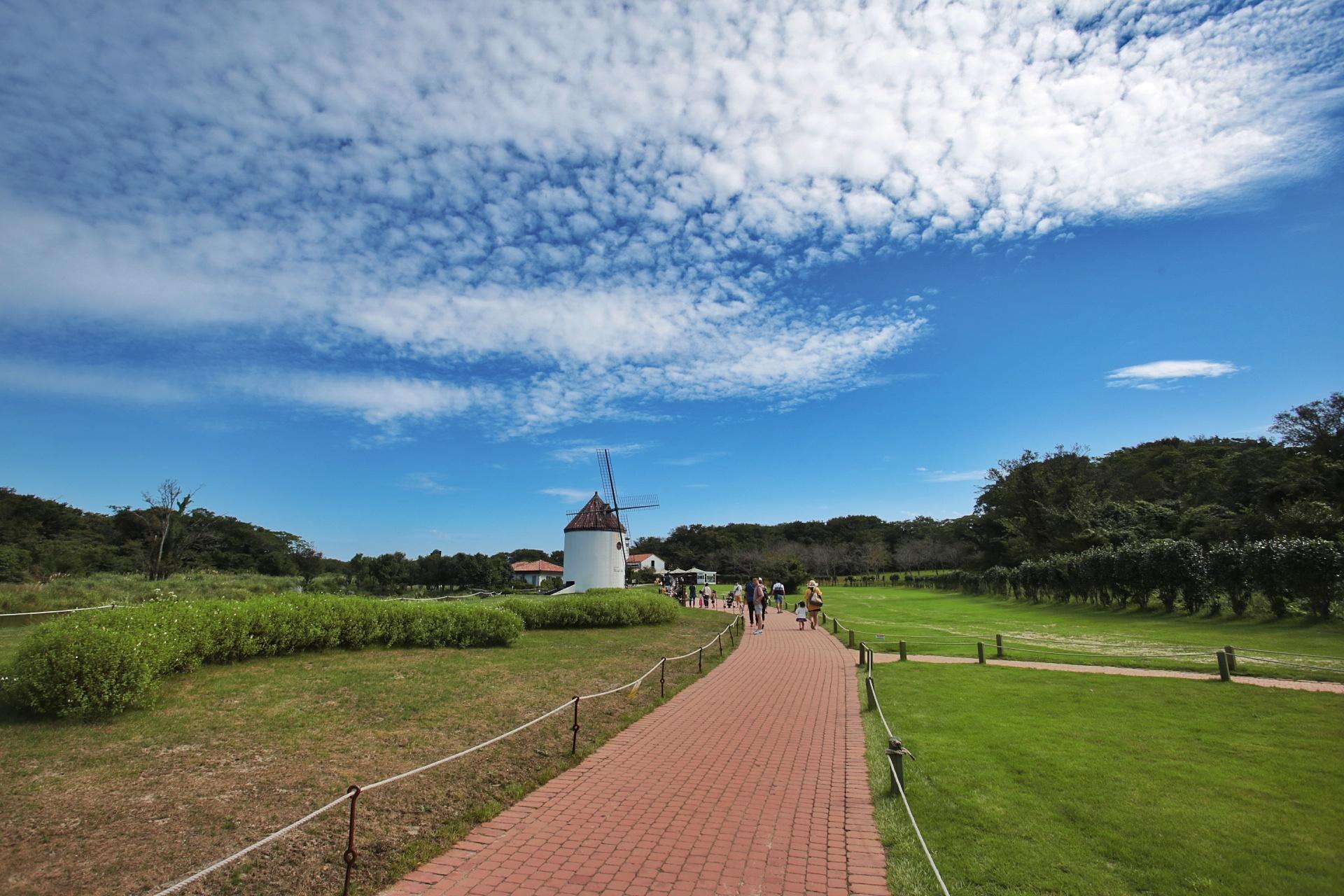 3天时间往返济州岛体验别样海滨风光