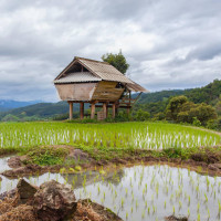 贝多芬当年弹奏《悲怆》第三章的手速你们感受