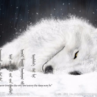 2018年抖音最火舞蹈集锦!美女热舞!