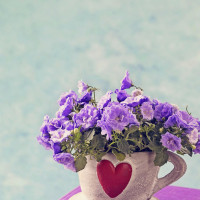 看了开头后瞬间猜到结局系列,突然有点心疼滚