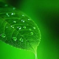 王者荣耀花木兰连招教学视频:王者局花木兰细