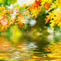 懒得用头发编手链,于是我对象就用我自己剪下