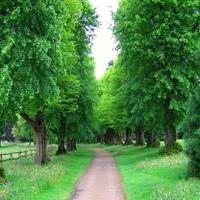 农村四哥:幺幺坐在摇床里,王四媳妇这样子开西