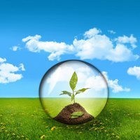 黑吃黑,是老大又怎样!总会有报应的!