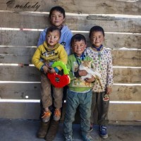 看韩国人对冯提莫-沙漠骆驼-翻唱的评价