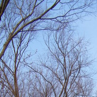 《我是特种兵》察猜无家可归,蝎子出手相助!