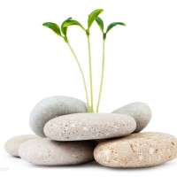 美女队长让瞧不起中国人的外国人跪倒在地