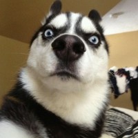 抖音上很火的变身的视频教程