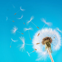 传控不死!西班牙68秒19次传递破门,年轻版中场