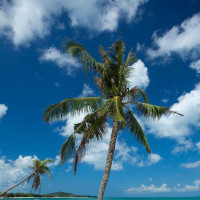 周润发和邓光荣经典电影:两人包围一队人,上演