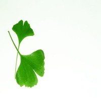 小品沈腾说贾玲和翟天临有过一段,太逗了