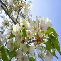 陈赫一句话祝福了两位女星 三人背后的关系有