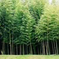 天安门广场上竟然挂上了日本国旗?这是什么情