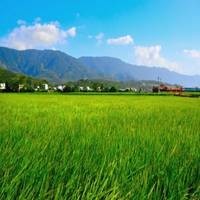 小戏骨《红楼梦》宝黛共读西厢记,那个年代上