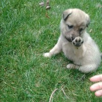 浪哥在抖音把这首闽南歌《世界第一等》给唱火