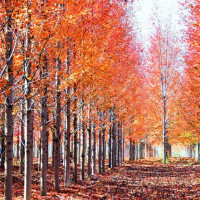 你见过最特别的自我介绍是什么,这个自我介绍